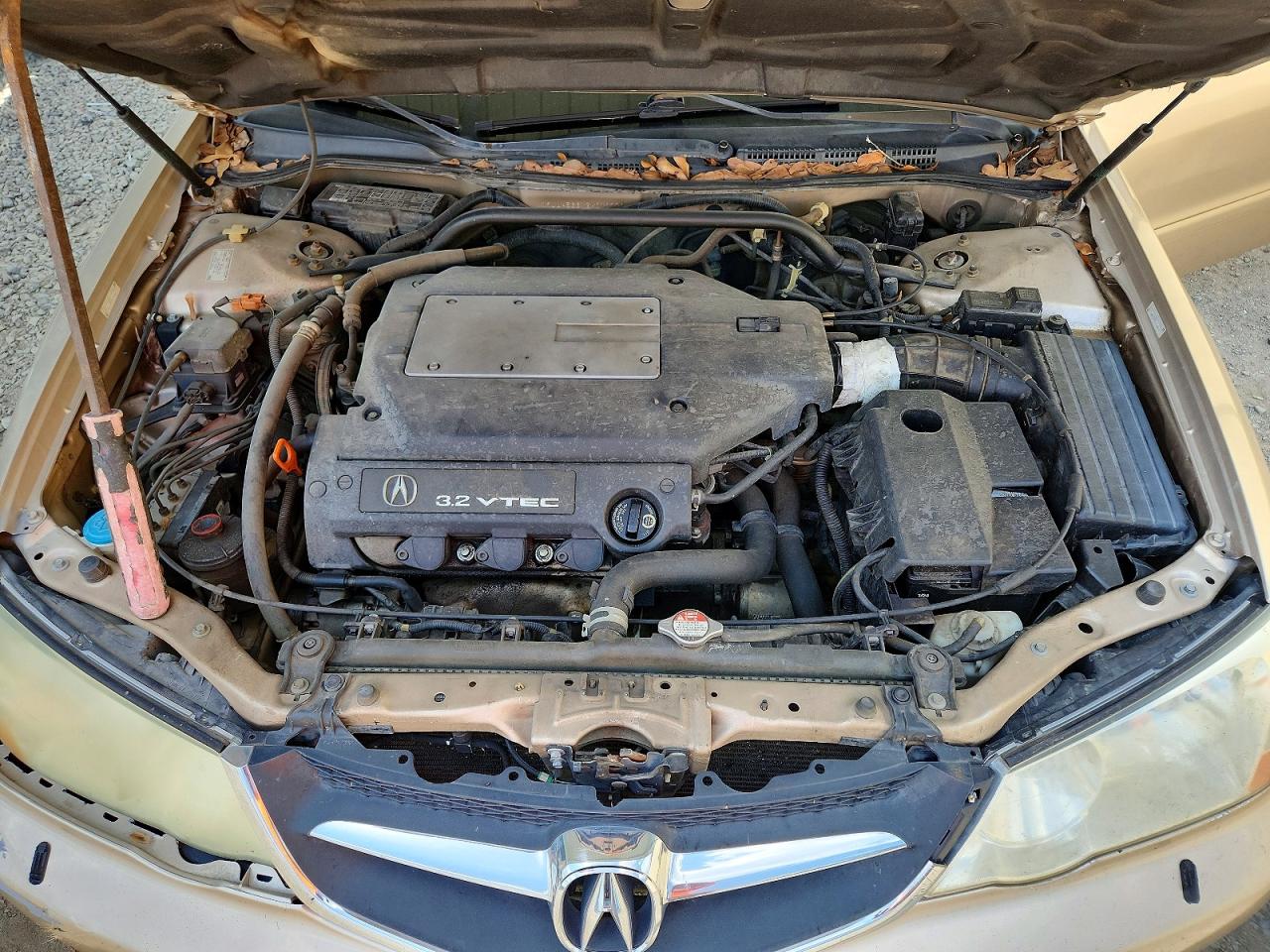 2002 Acura 3.2tl Gold vin: 19UUA56612A010770