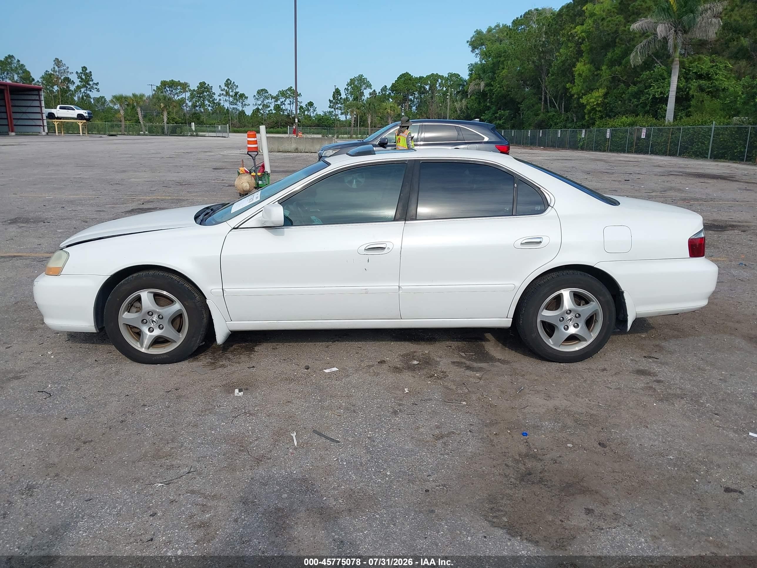 2003 Acura Tl 3.2 White vin: 19UUA56663A084249
