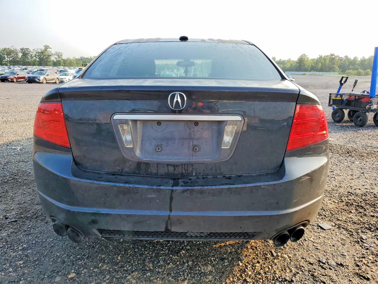 2006 Acura 3.2tl Черный vin: 19UUA65566A074744