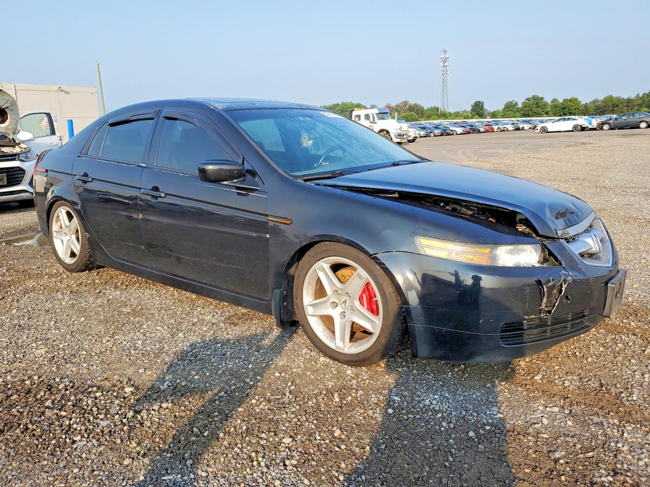 2006 Acura 3.2tl Черный vin: 19UUA65566A074744