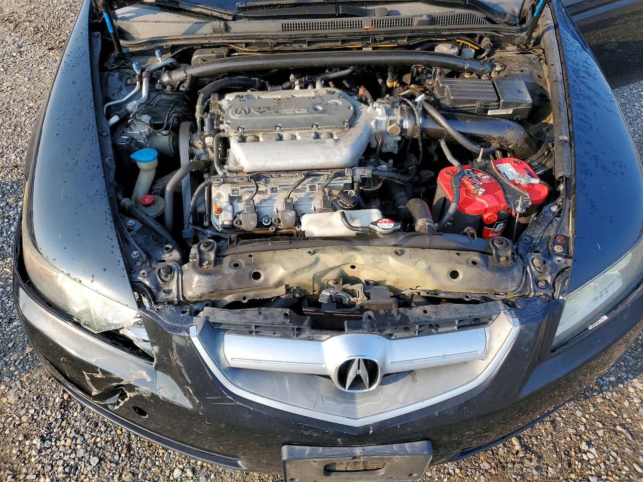 2006 Acura 3.2tl Черный vin: 19UUA65566A074744