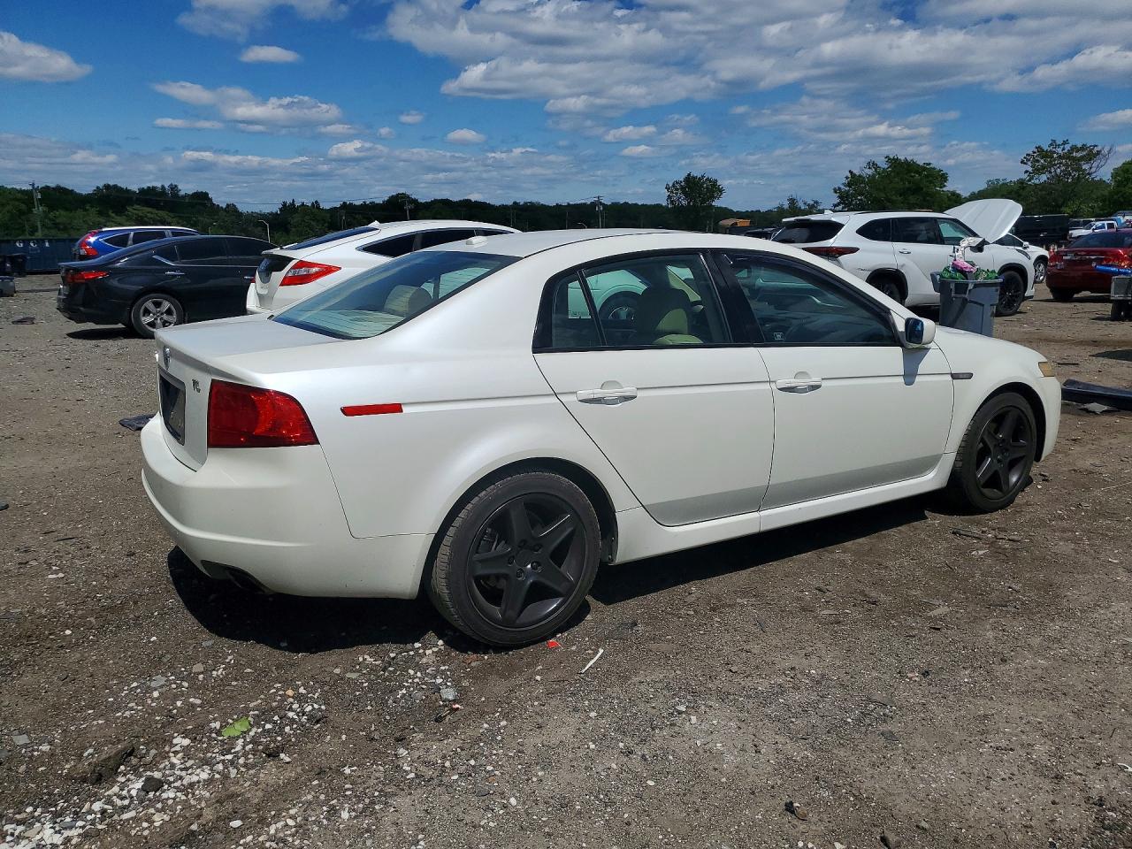 2005 Acura Tl White vin: 19UUA66205A079019