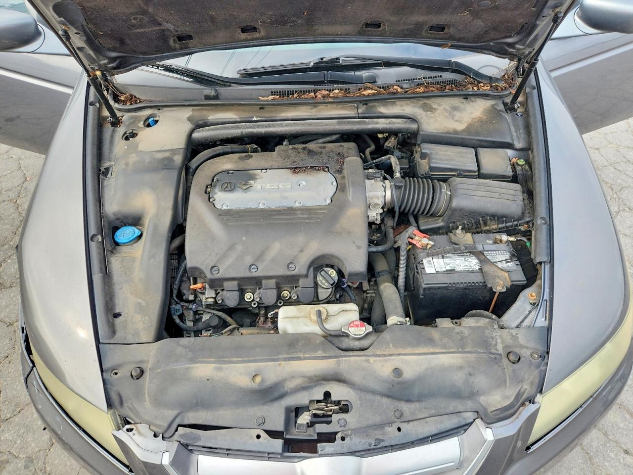 2006 Acura 3.2tl Gray vin: 19UUA66206A020702