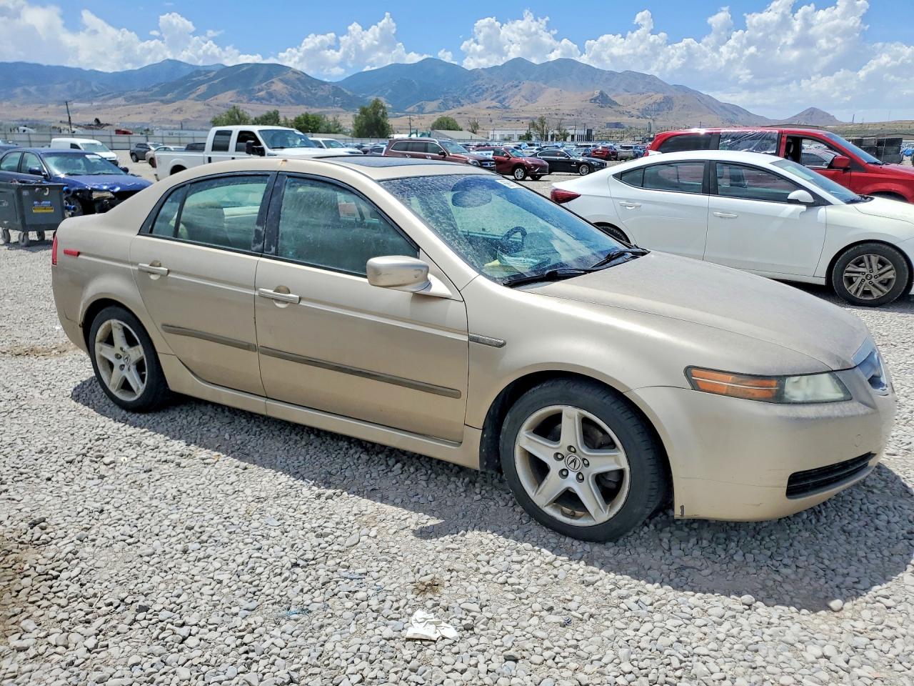 2006 Acura 3.2tl Gold vin: 19UUA66206A078003