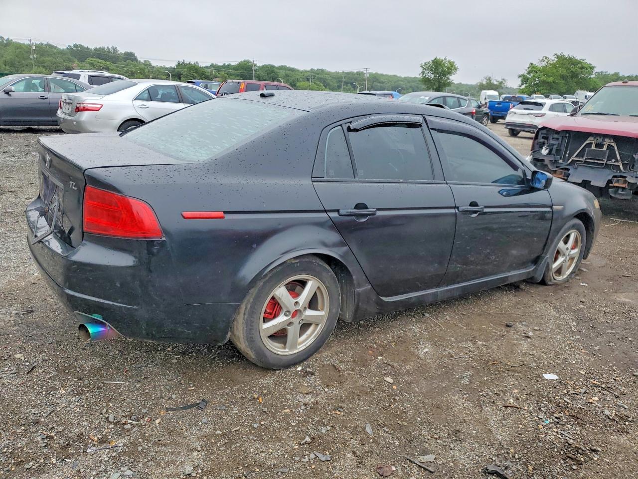 2004 Acura Tl Black vin: 19UUA66214A025372