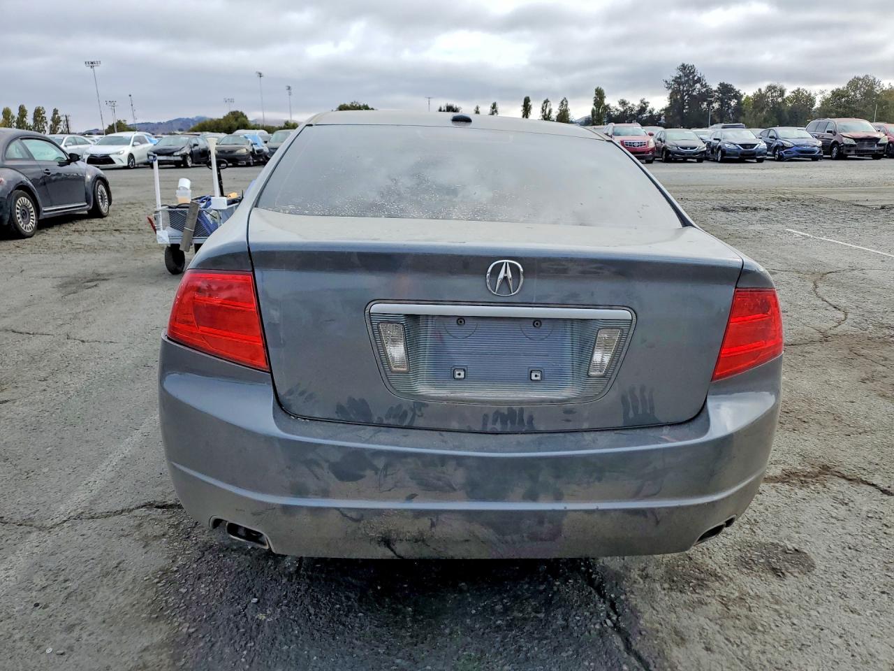 2004 Acura Tl Gray vin: 19UUA66214A033181