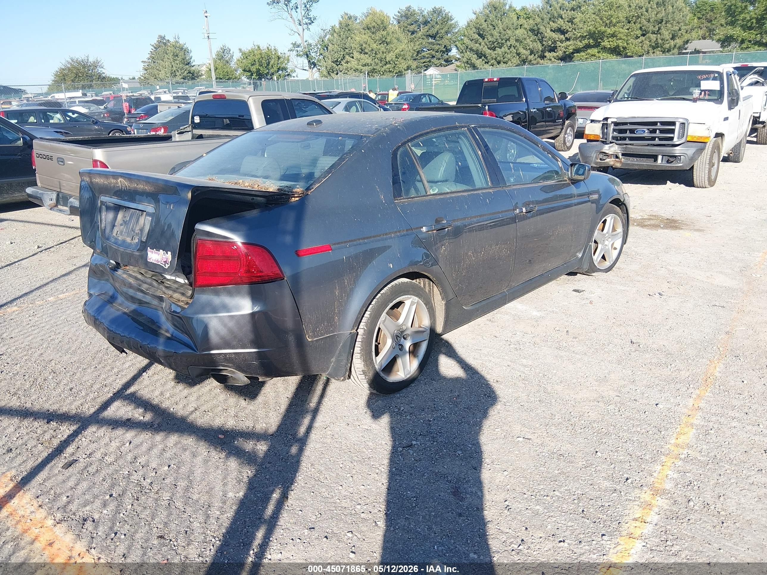 2005 Acura Tl   Tan vin: 19UUA66215A078672