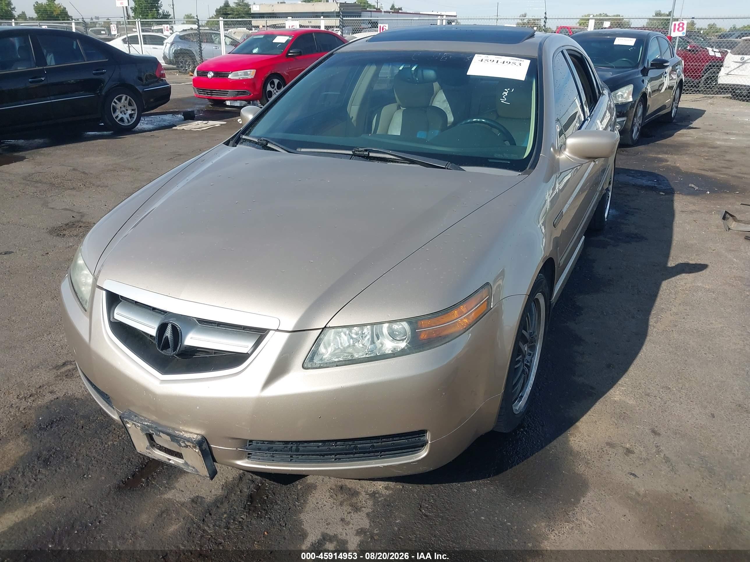 2006 Acura Tl   Gold vin: 19UUA66216A045348