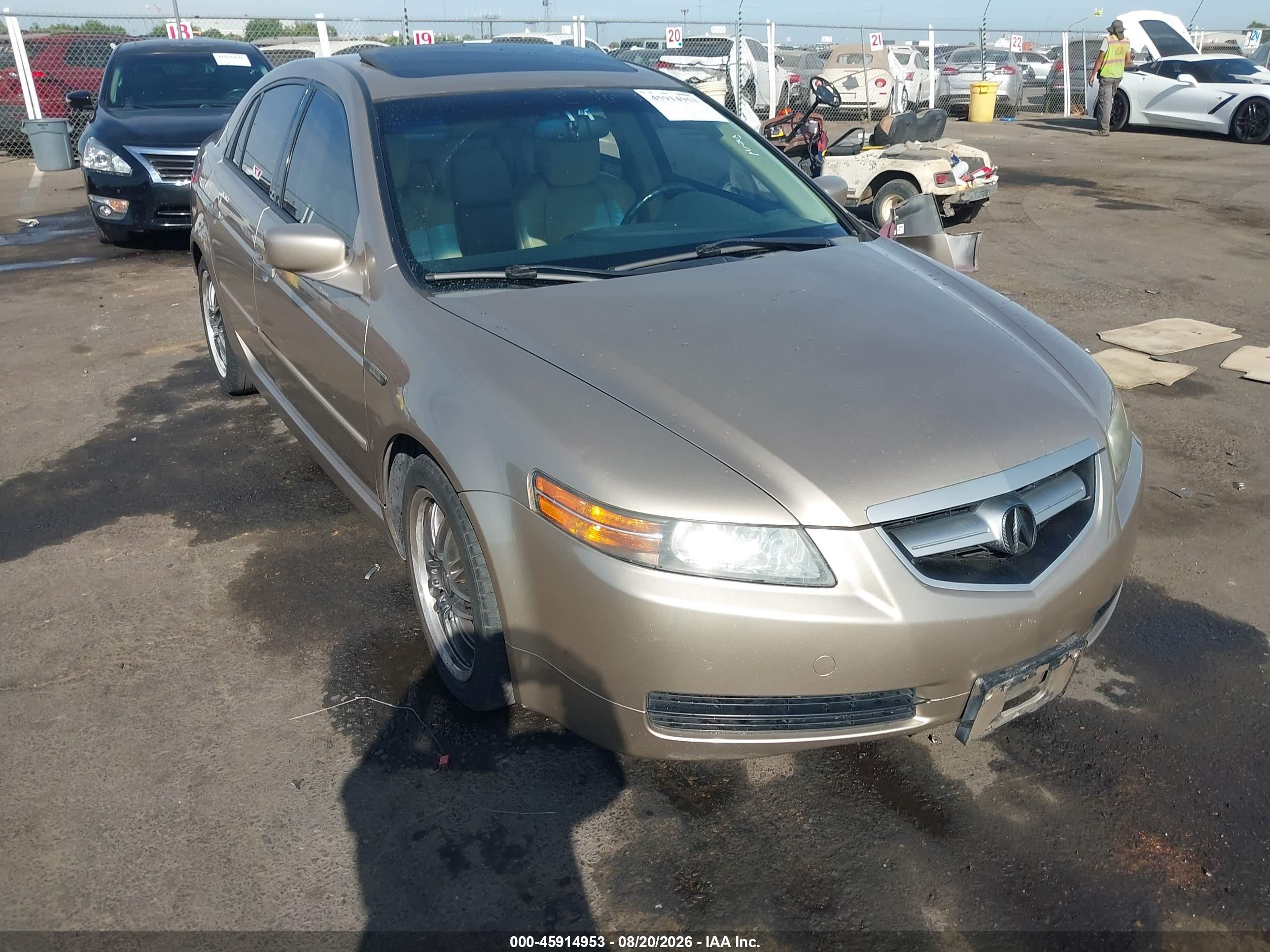 2006 Acura Tl   Gold vin: 19UUA66216A045348