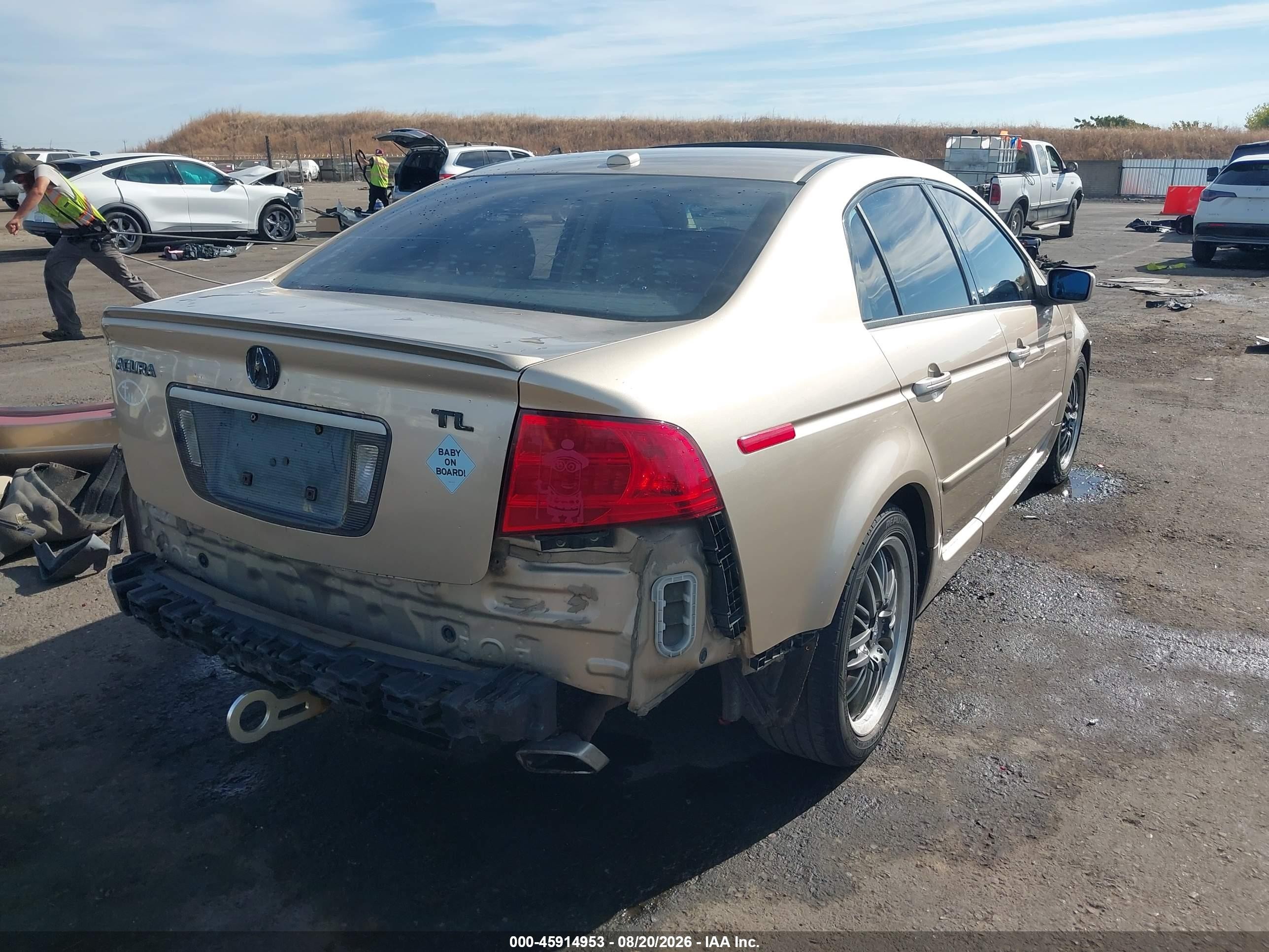 2006 Acura Tl   Gold vin: 19UUA66216A045348