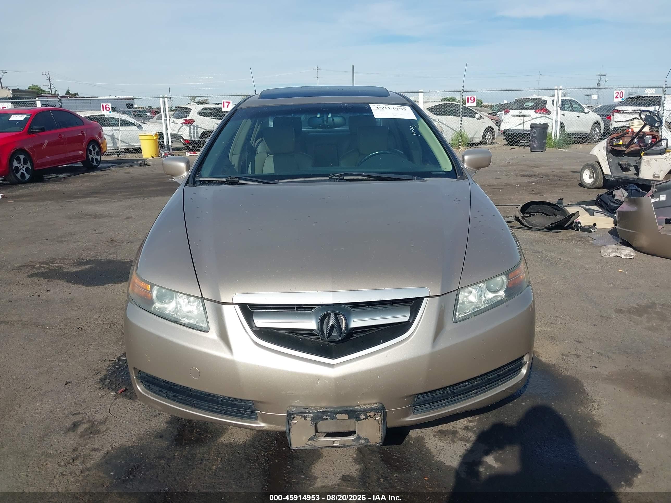 2006 Acura Tl   Gold vin: 19UUA66216A045348
