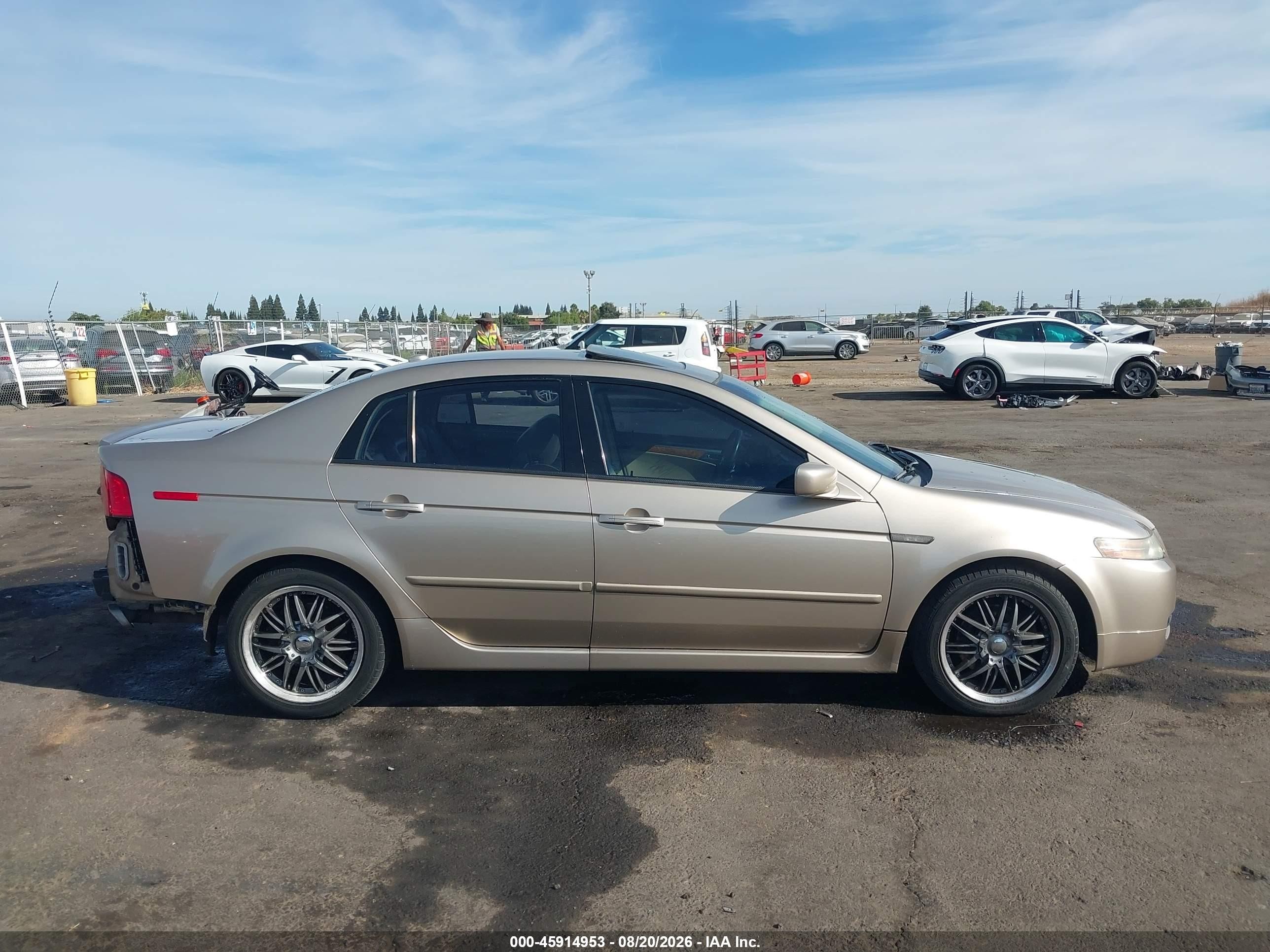 2006 Acura Tl   Gold vin: 19UUA66216A045348