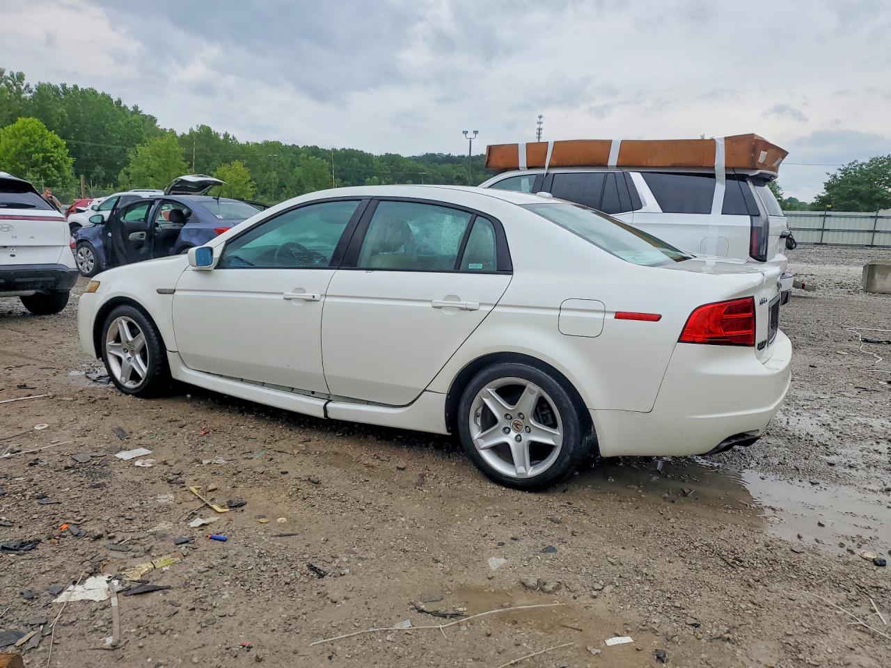 2006 Acura 3.2tl White vin: 19UUA66216A064496