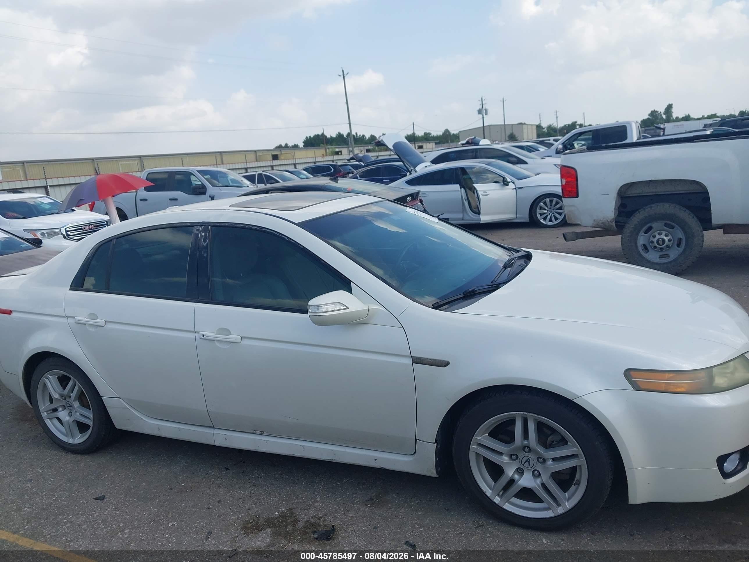 2008 Acura Tl 3.2 White vin: 19UUA66218A023501