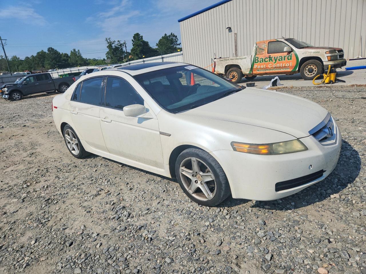 2005 Acura Tl White vin: 19UUA66225A043252