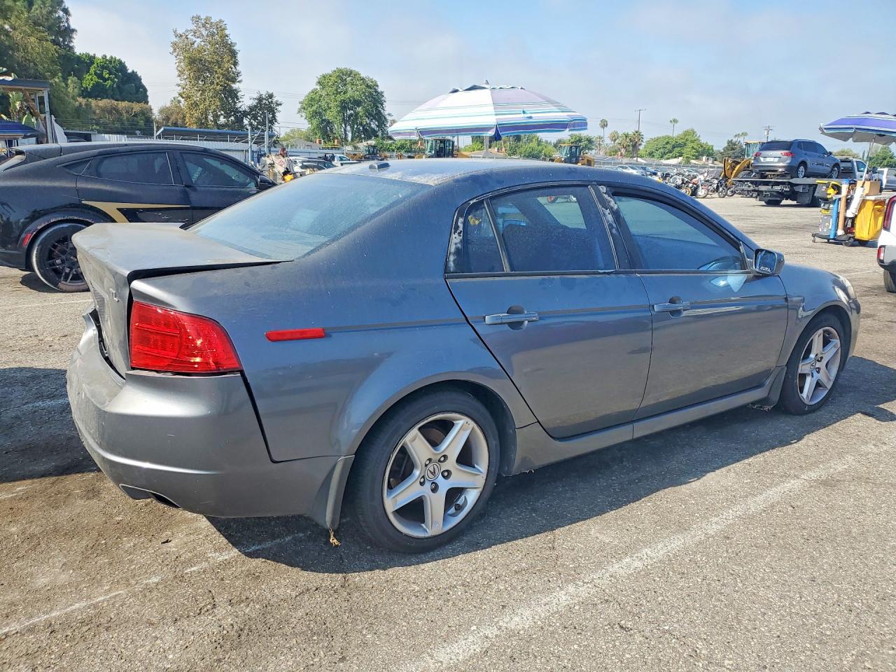 2006 Acura 3.2tl Gray vin: 19UUA66226A015873