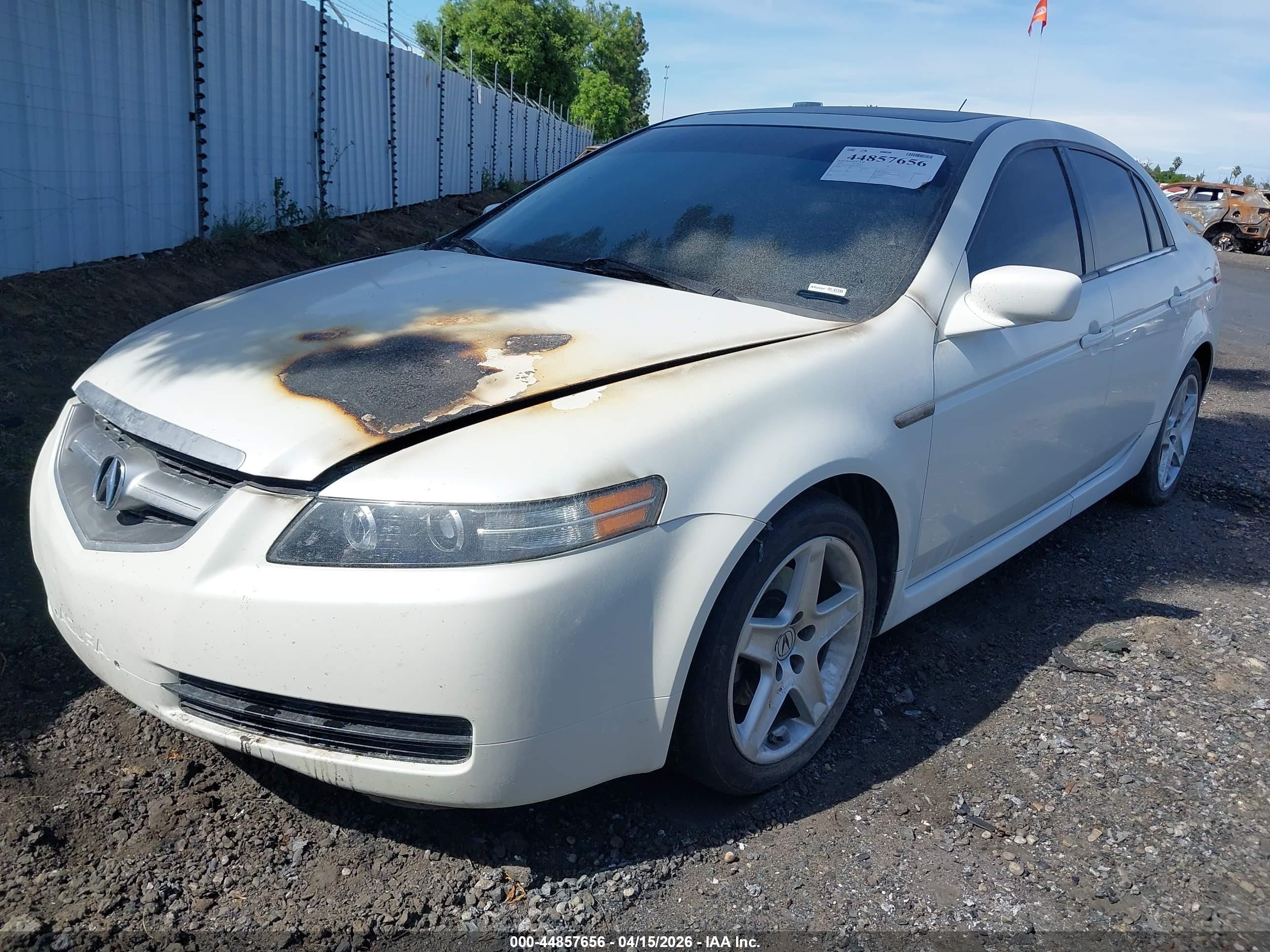 2006 Acura Tl   White vin: 19UUA66226A066953