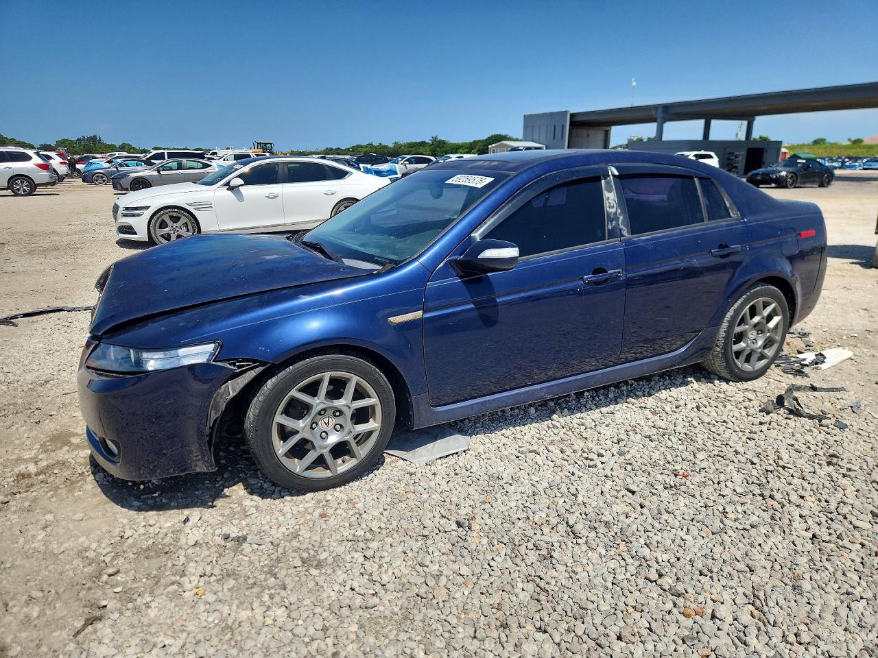 2008 Acura Tl Blue vin: 19UUA66228A032398