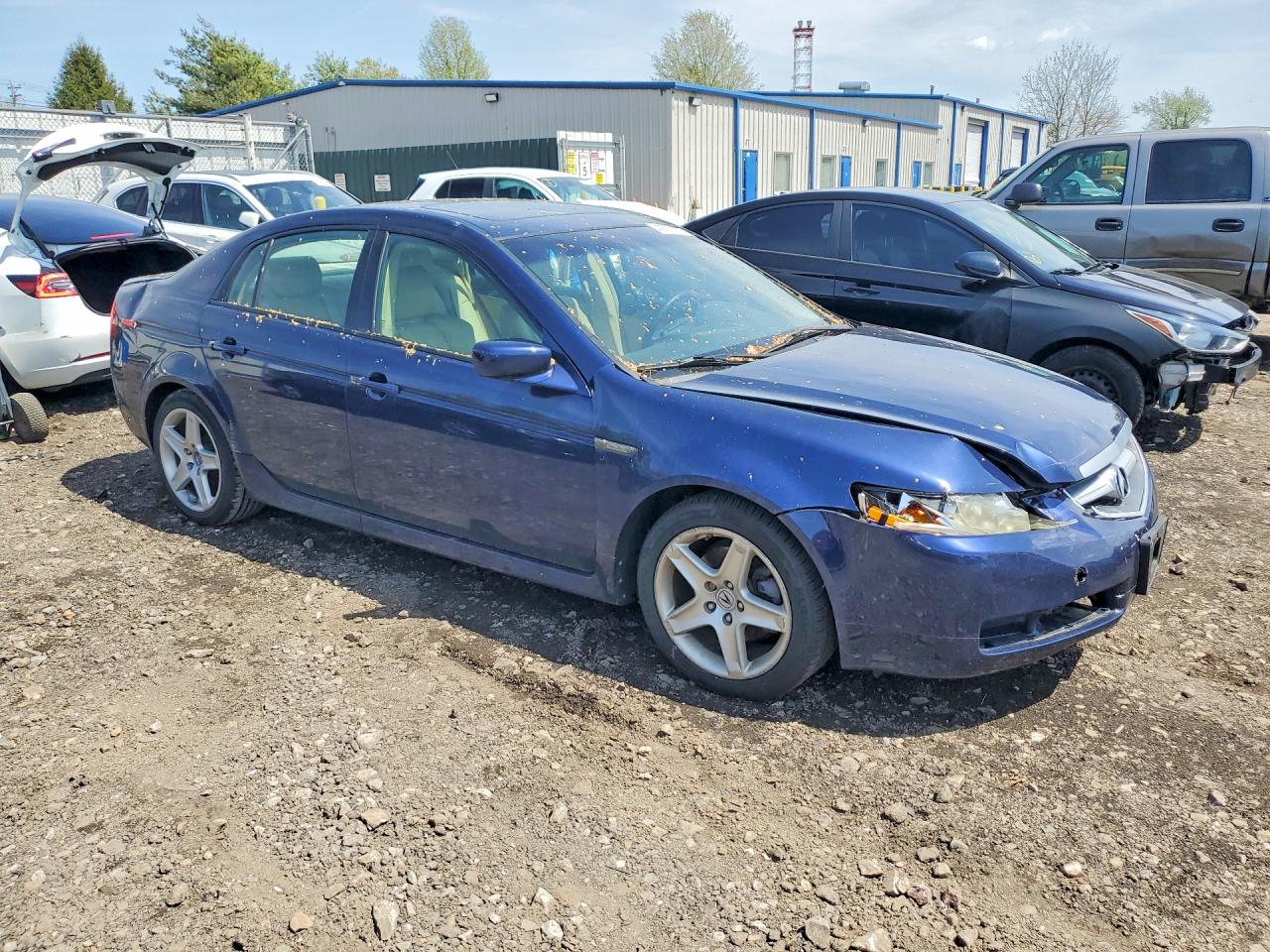 2006 Acura 3.2tl Blue vin: 19UUA66236A047702