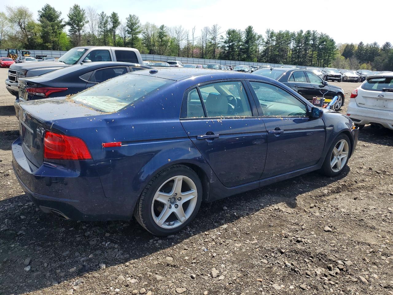 2006 Acura 3.2tl Blue vin: 19UUA66236A047702