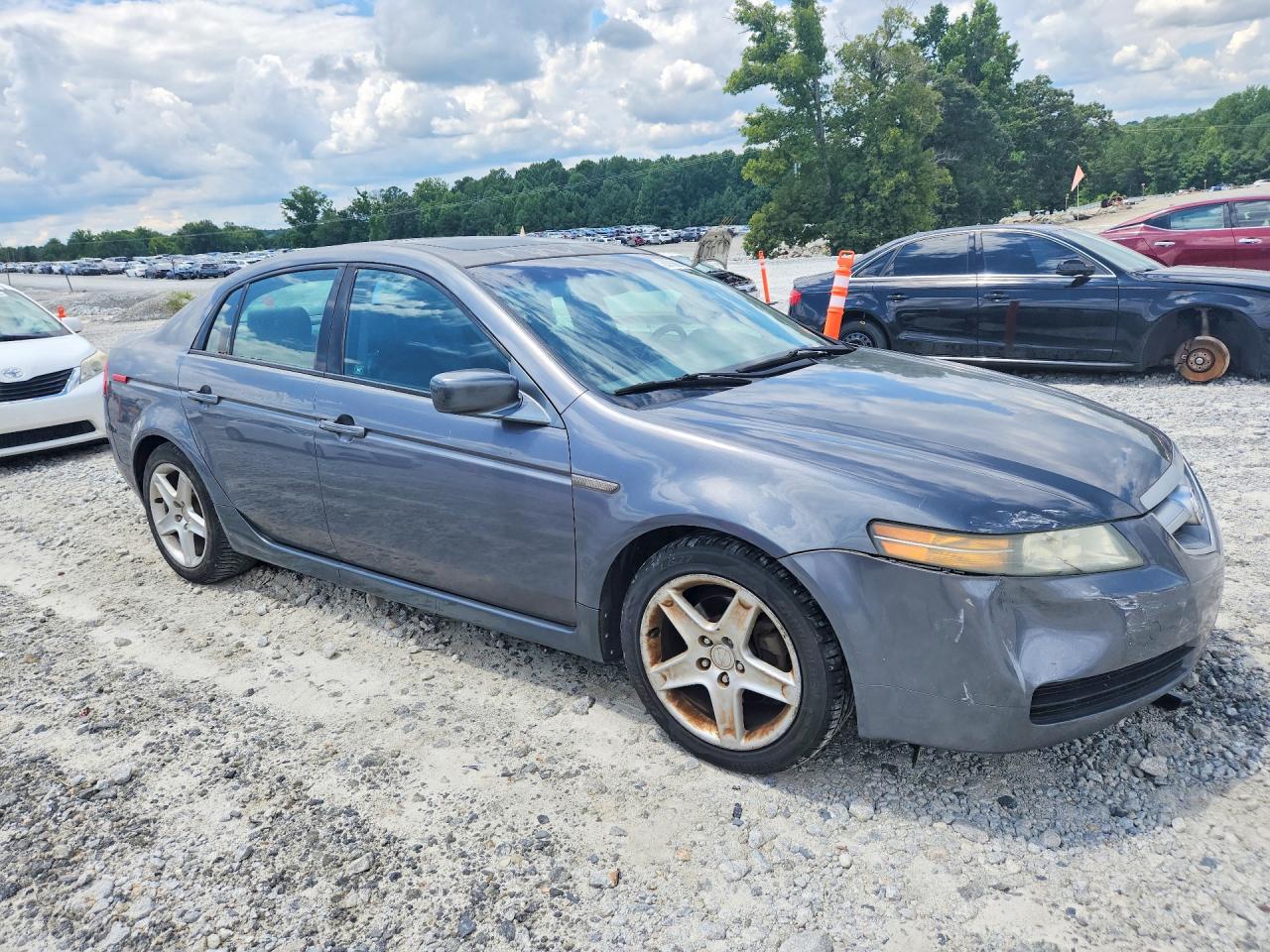 2004 Acura Tl Серый vin: 19UUA66244A018271
