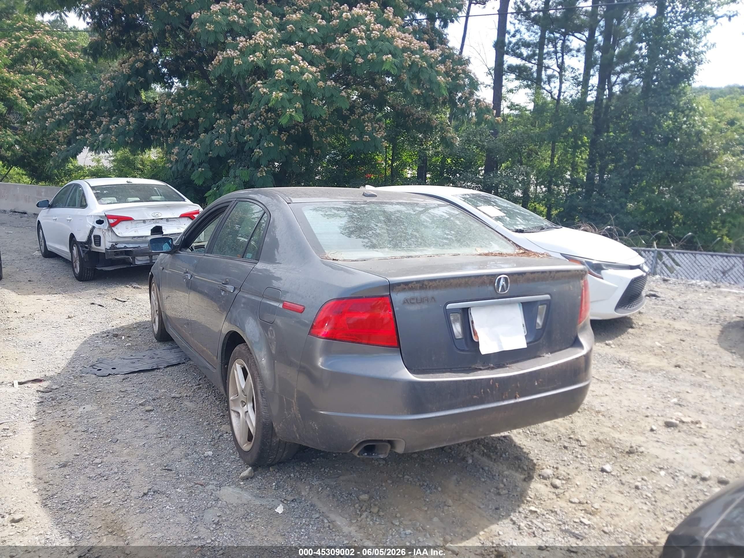 2005 Acura Tl   Gray vin: 19UUA66245A033161