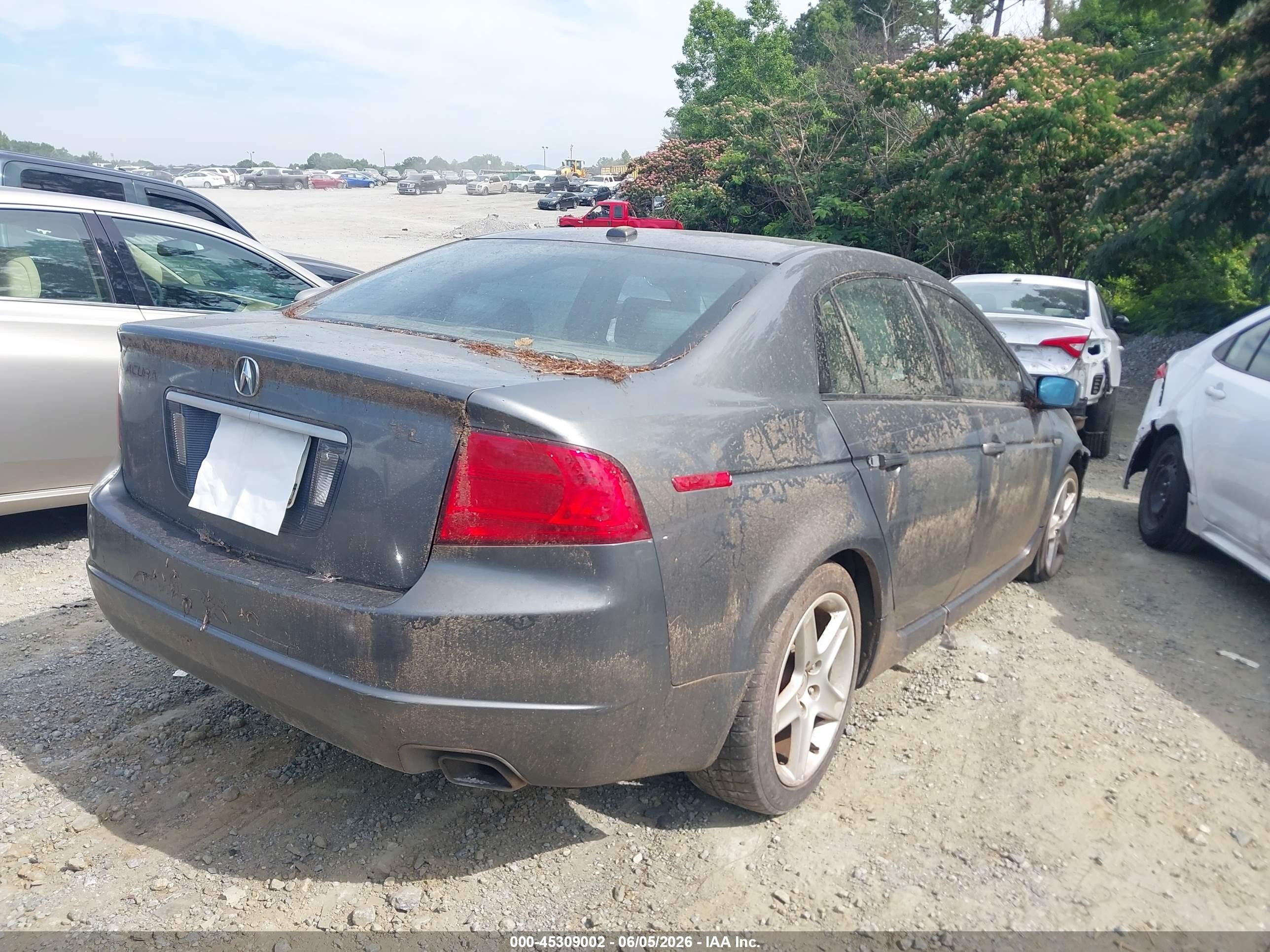 2005 Acura Tl   Gray vin: 19UUA66245A033161