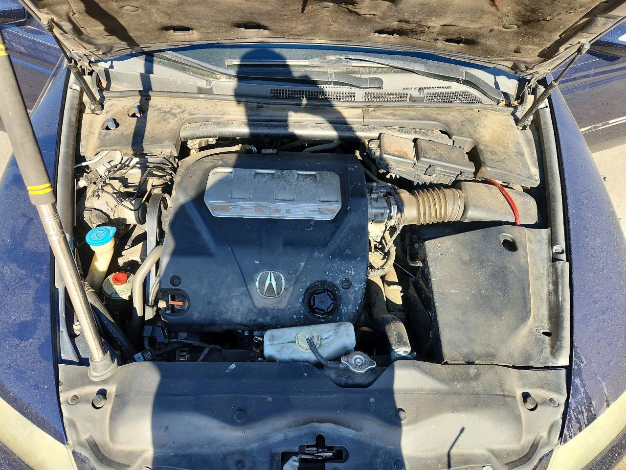 2007 Acura Tl Blue vin: 19UUA66247A022339