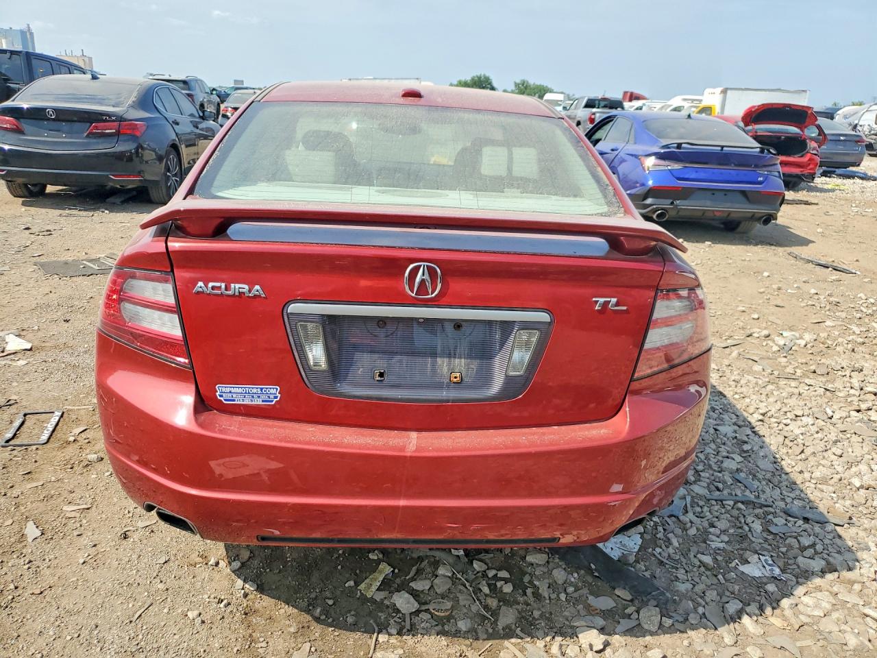 2008 Acura Tl Red vin: 19UUA66248A025176
