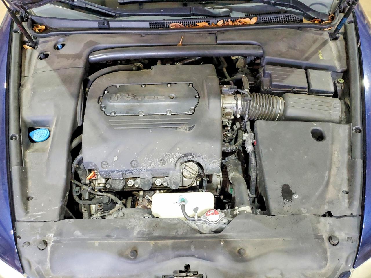 2004 Acura Tl Blue vin: 19UUA66254A006842