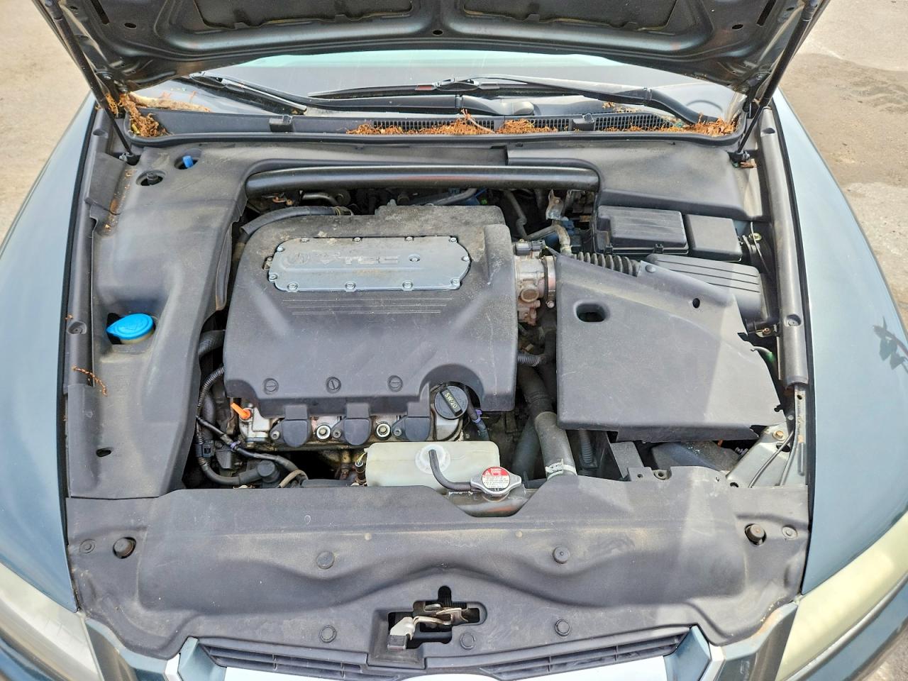 2004 Acura Tl Gray vin: 19UUA66254A010695
