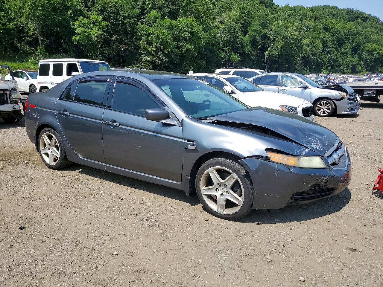 2005 Acura Tl Gray vin: 19UUA66255A007409