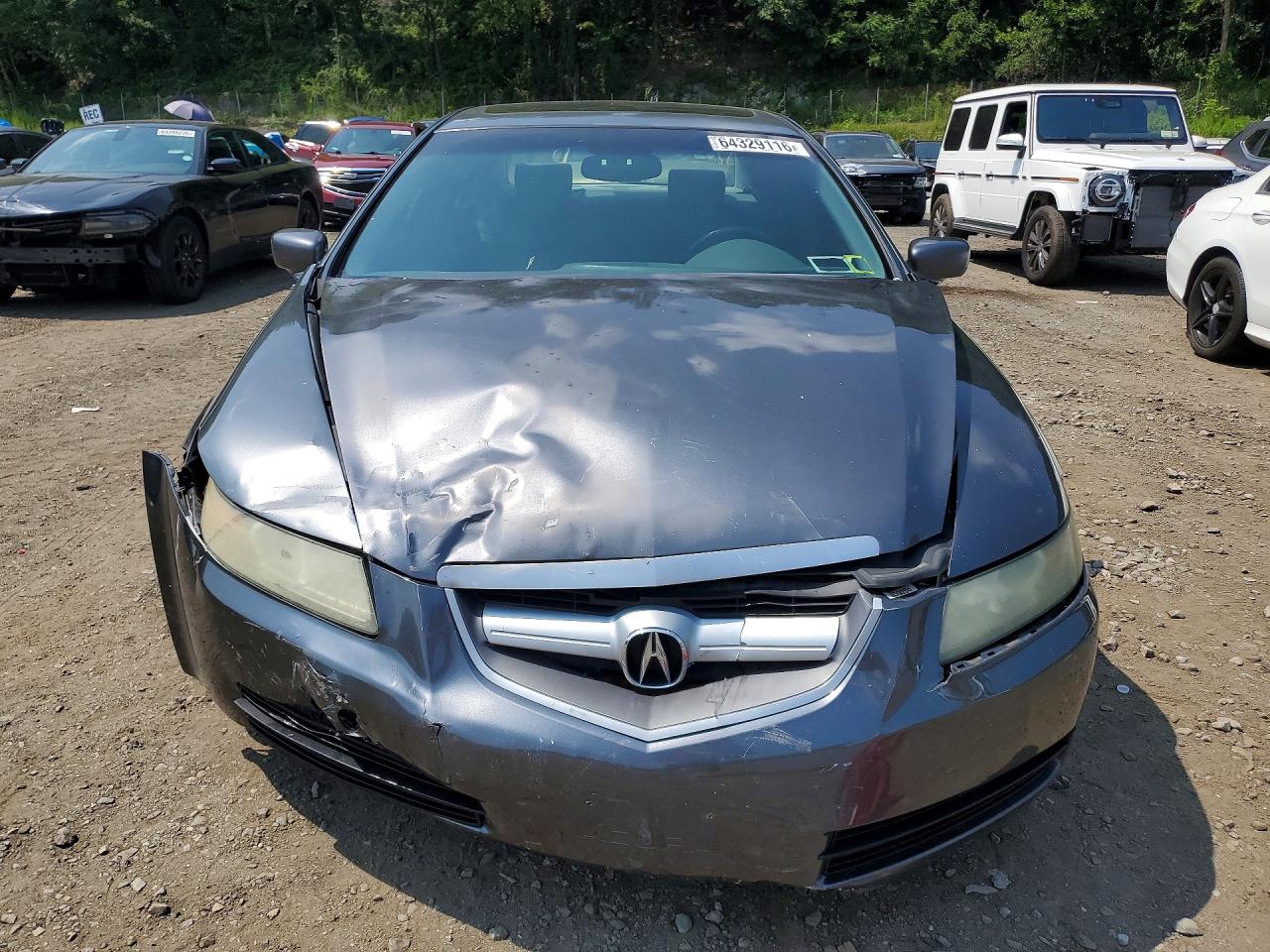 2005 Acura Tl Gray vin: 19UUA66255A007409