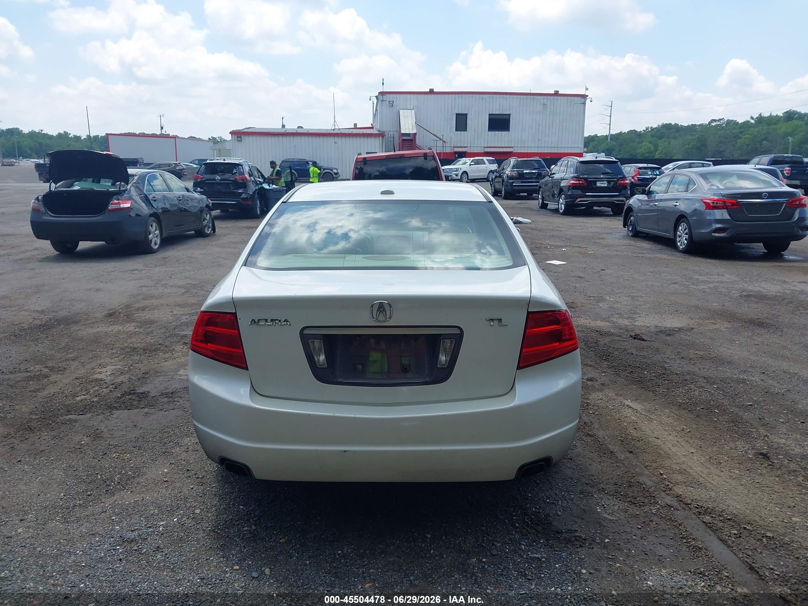2005 Acura Tl   White vin: 19UUA66255A078755