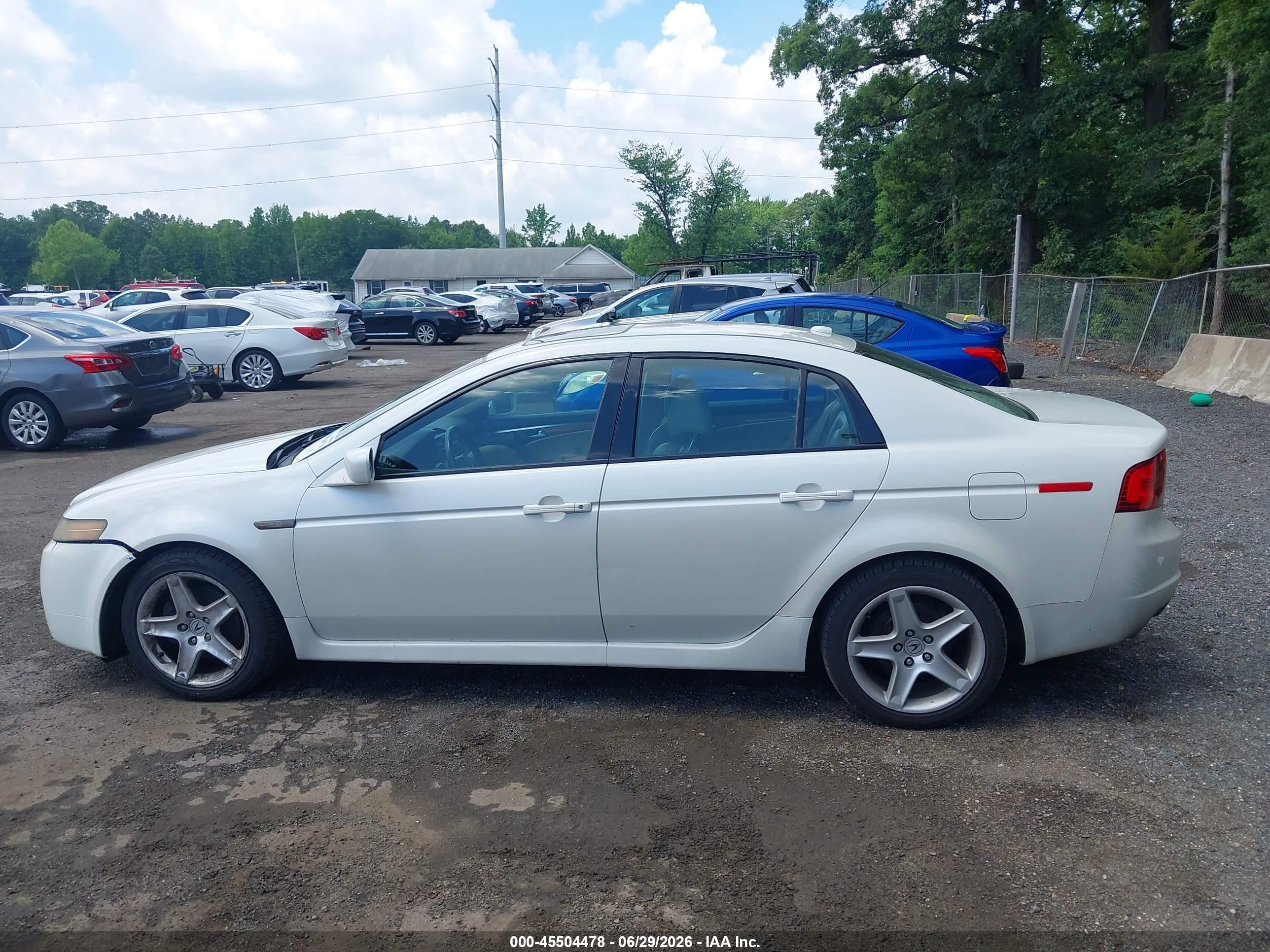 2005 Acura Tl   White vin: 19UUA66255A078755