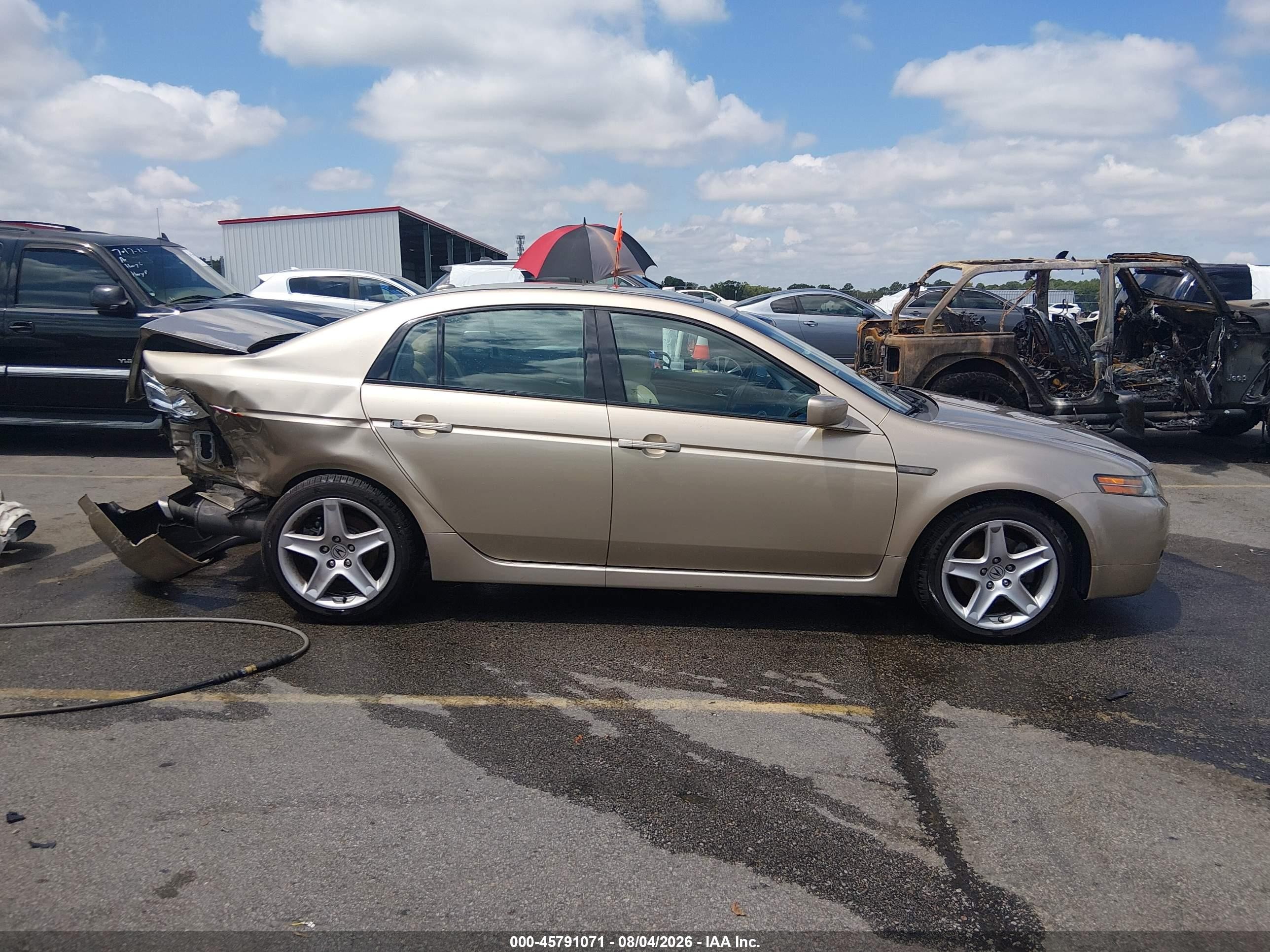 2006 Acura Tl   Beige vin: 19UUA66256A001787