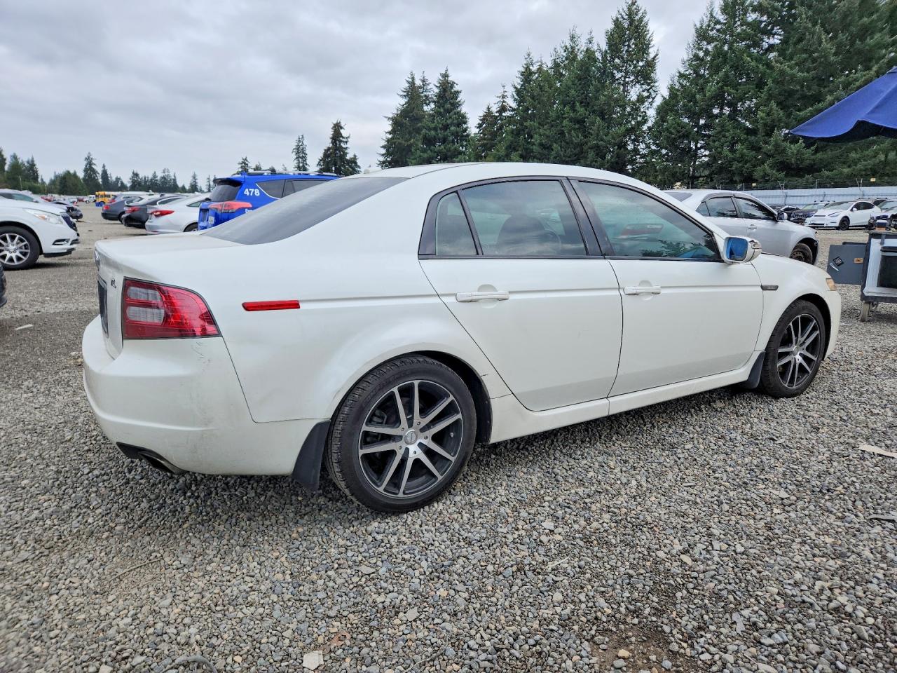 2007 Acura Tl White vin: 19UUA66257A005159