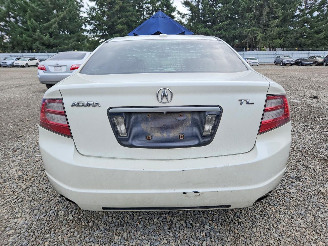 2007 Acura Tl White vin: 19UUA66257A005159