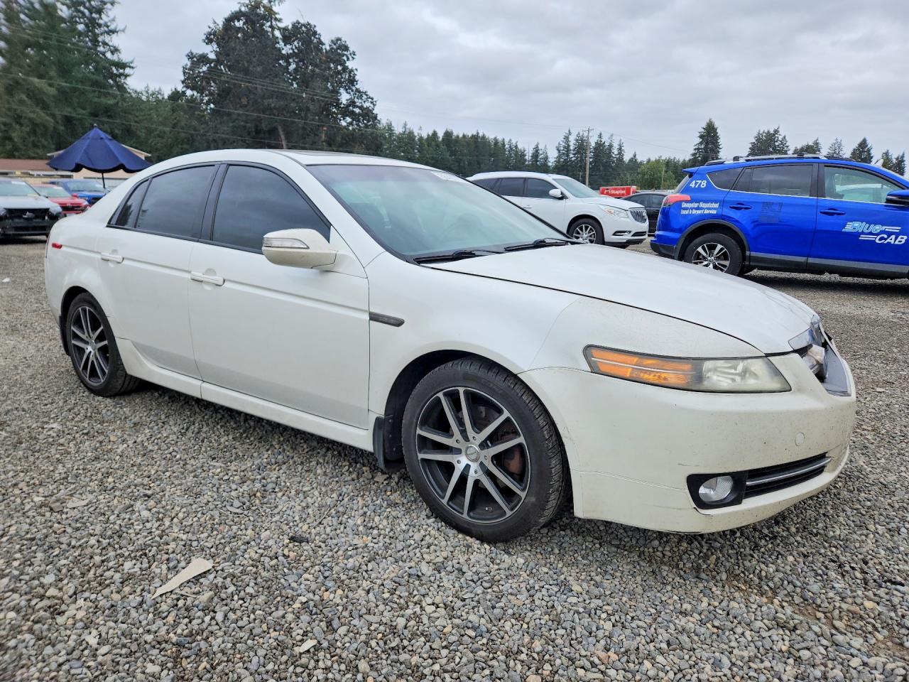 2007 Acura Tl White vin: 19UUA66257A005159