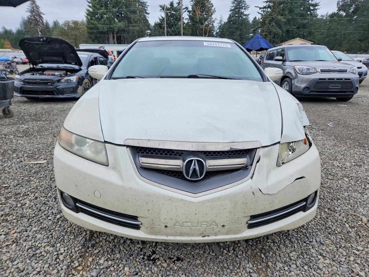 2007 Acura Tl White vin: 19UUA66257A005159