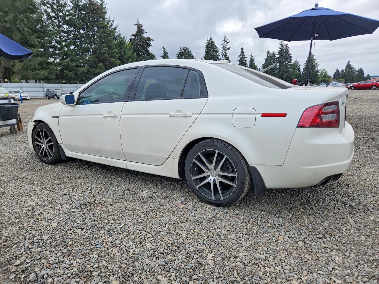 2007 Acura Tl White vin: 19UUA66257A005159