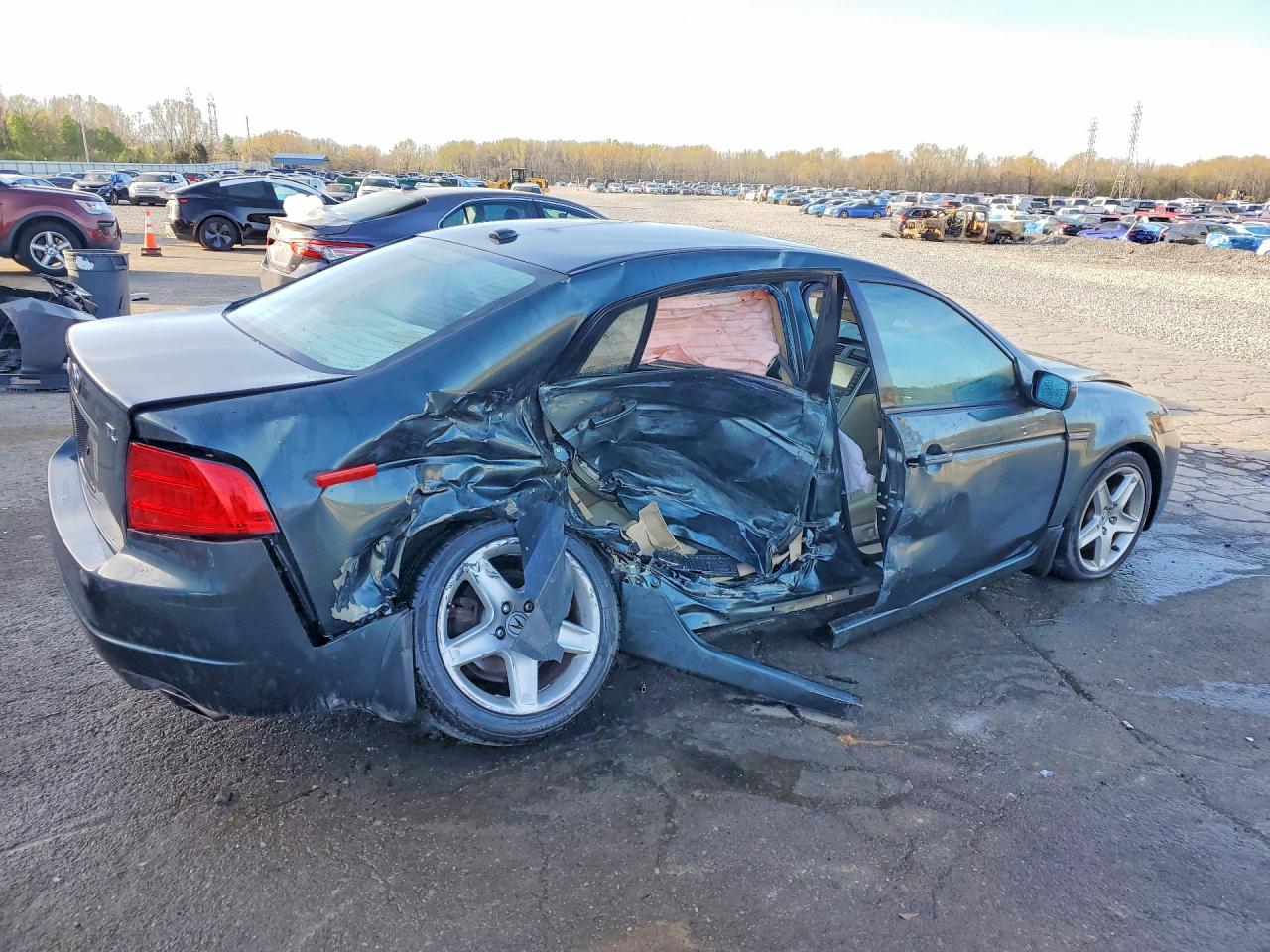 2004 Acura Tl Teal vin: 19UUA66264A046962