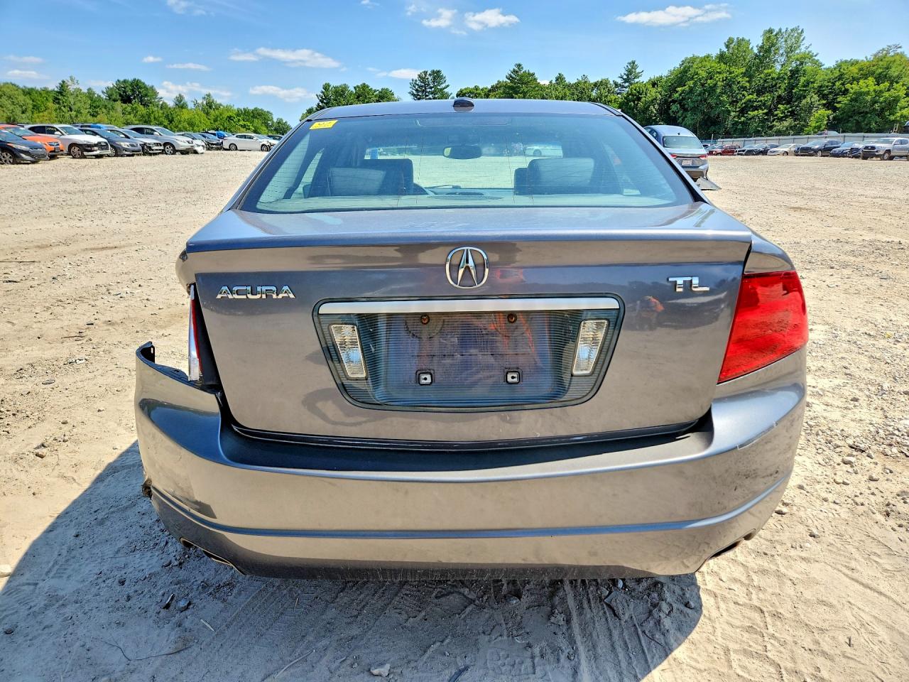 2004 Acura Tl Gray vin: 19UUA66264A047528