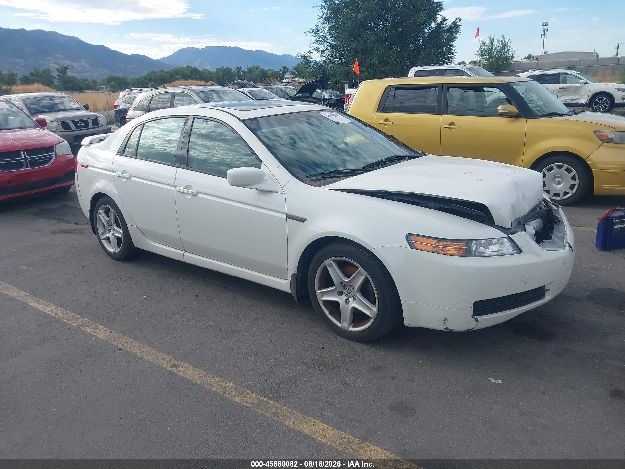 2005 Acura Tl   White vin: 19UUA66265A019505