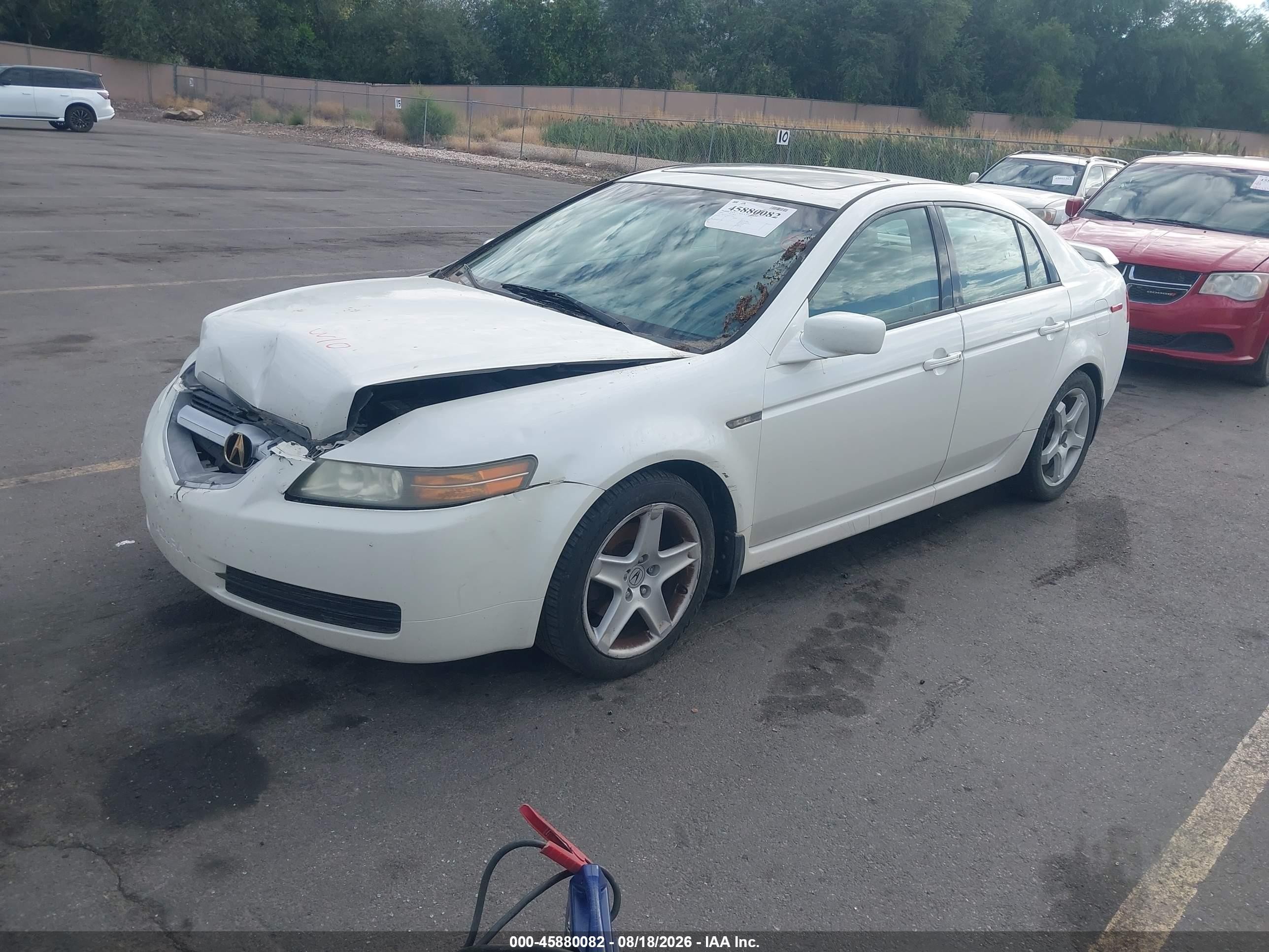 2005 Acura Tl   White vin: 19UUA66265A019505