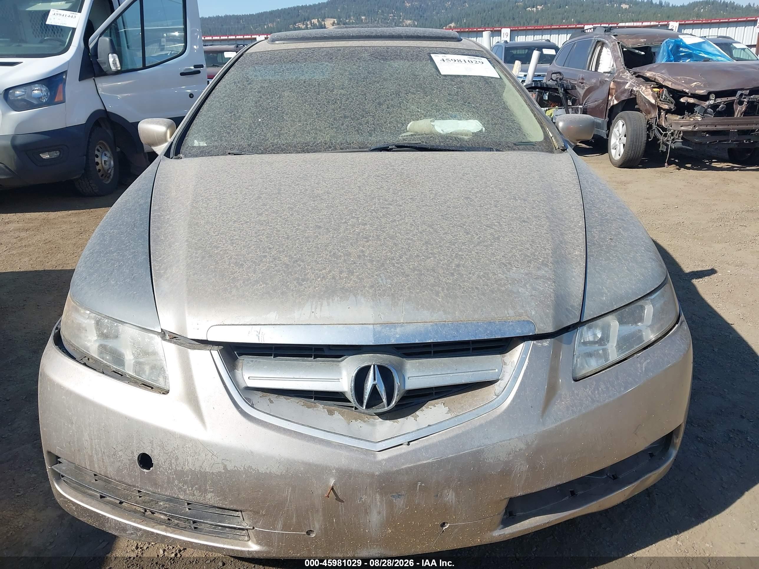 2005 Acura Tl   Champagne vin: 19UUA66265A067263