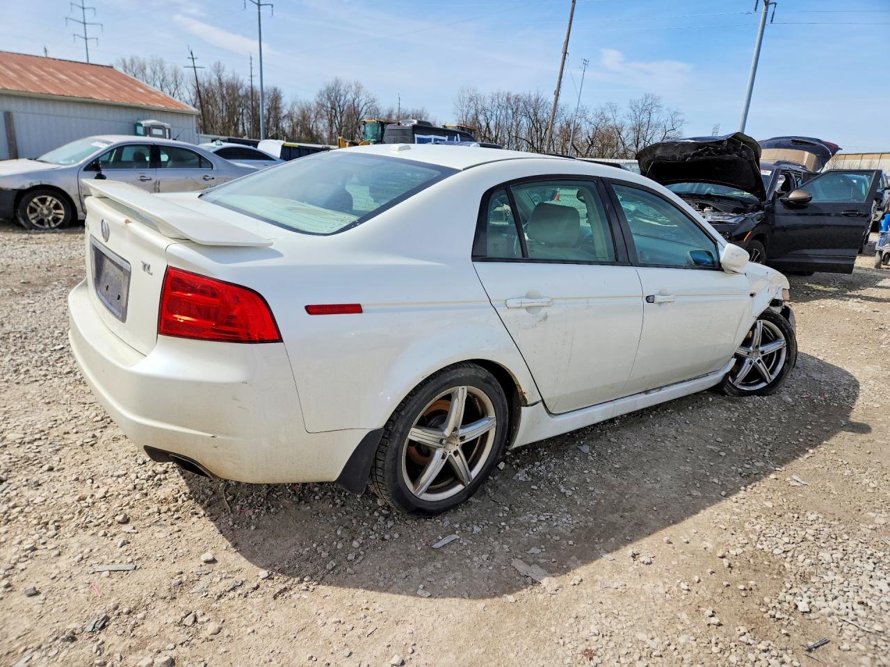 2006 Acura 3.2tl White vin: 19UUA66266A006724