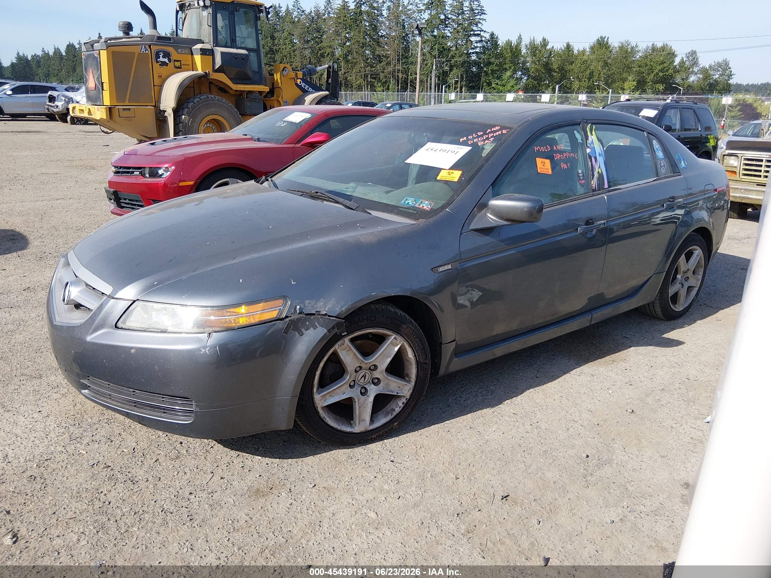 2005 Acura Tl   Blue vin: 19UUA66275A038662