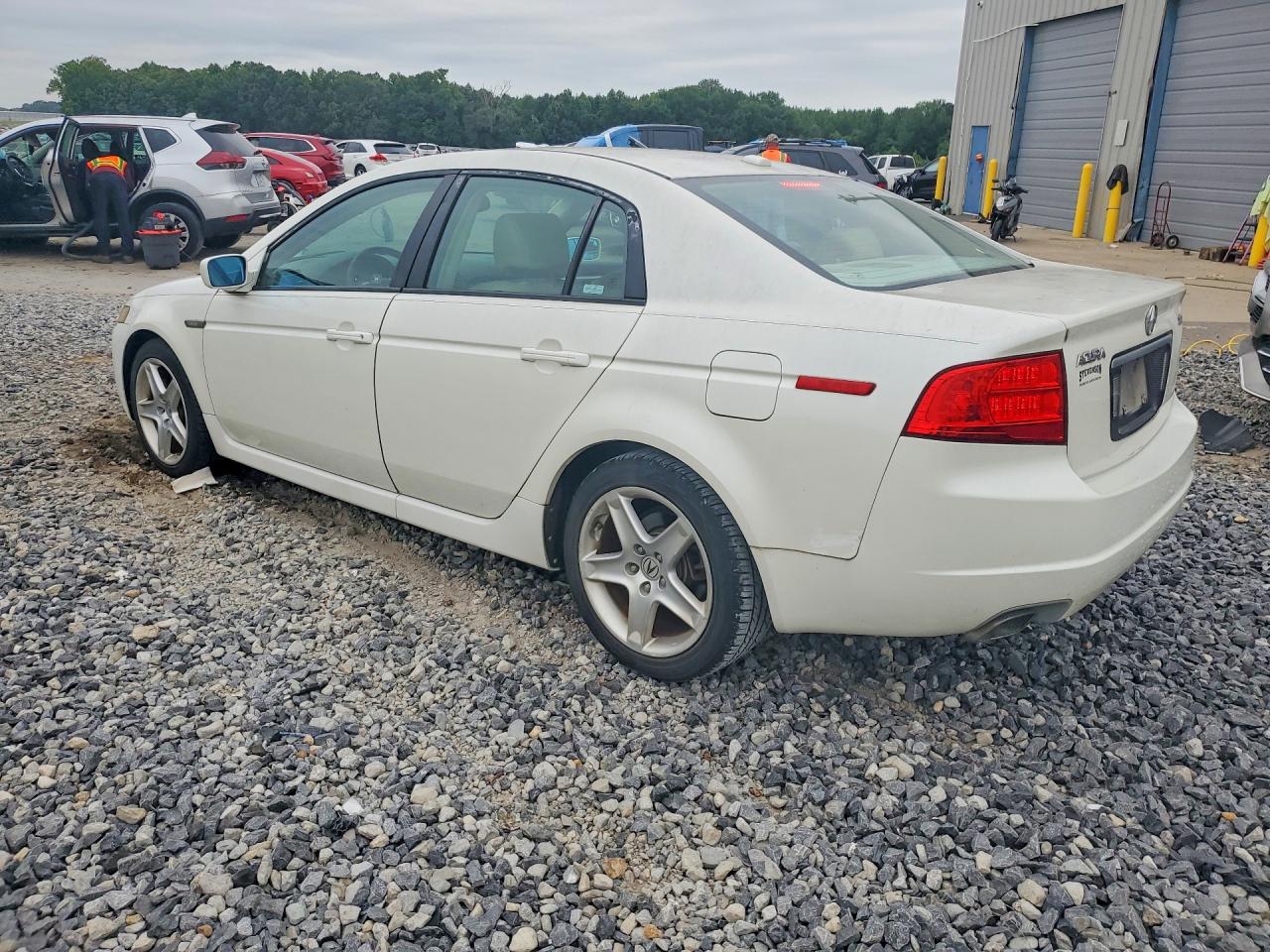 2006 Acura 3.2tl White vin: 19UUA66276A015531