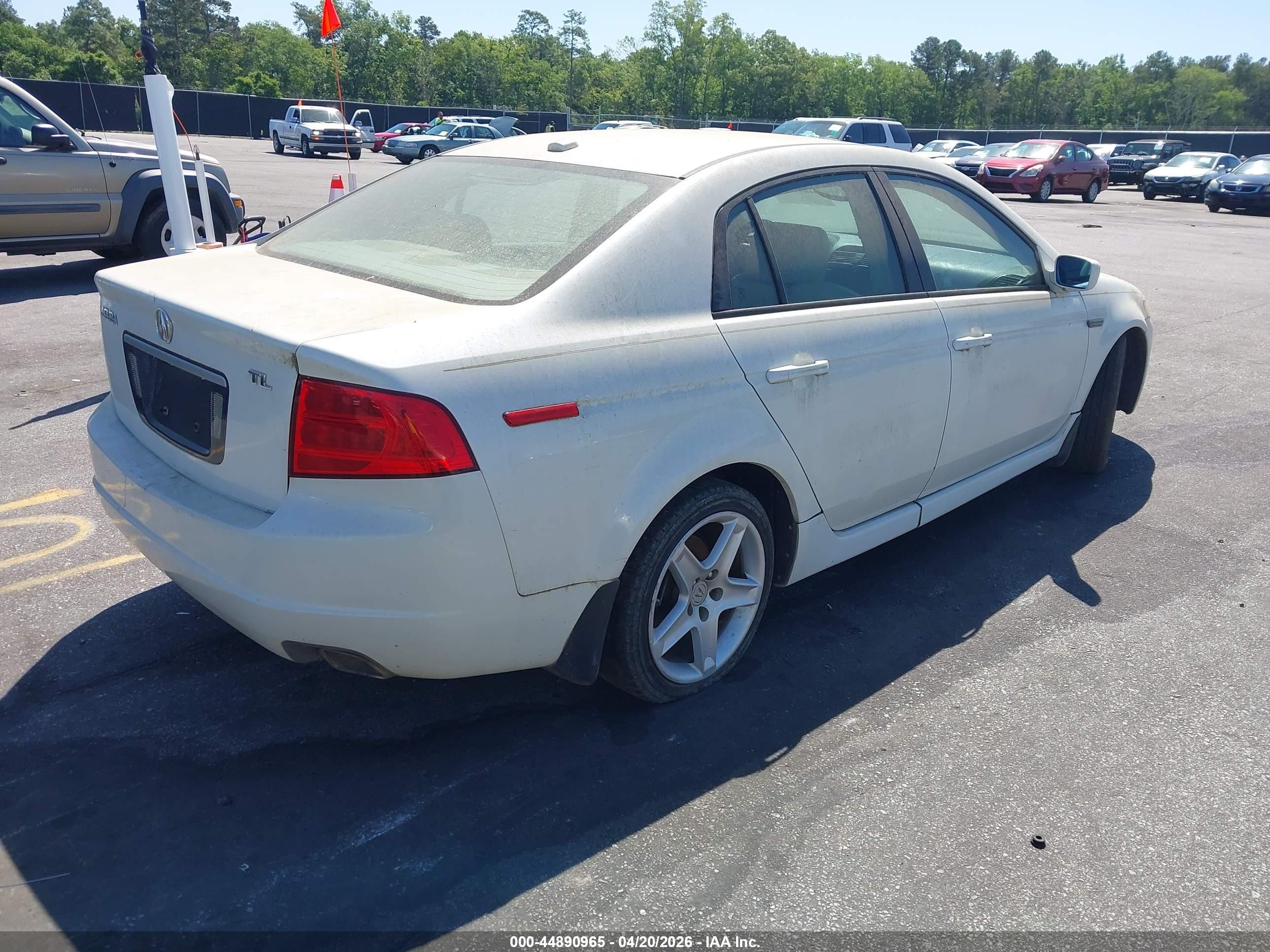 2006 Acura Tl   White vin: 19UUA66286A022343